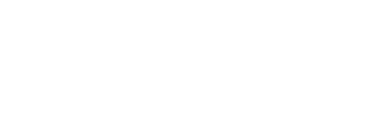 Guaybo Logo